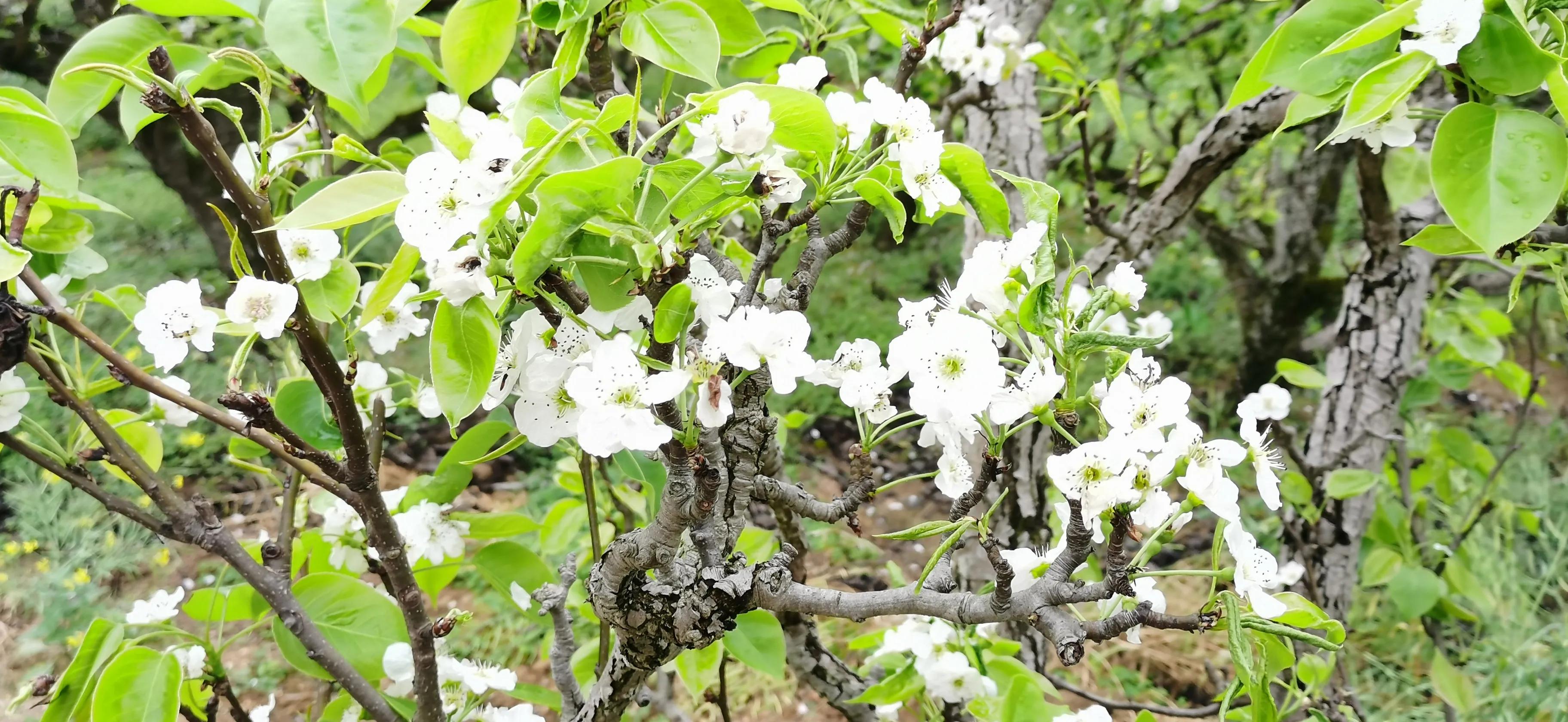 一台二手3D印刷机打下一亿产业，打破了寒门难出贵子的调侃。
