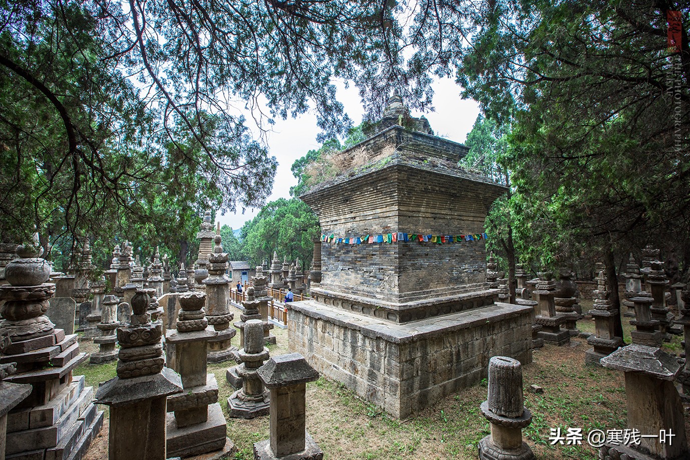 济南灵岩寺，有座国内最大也是唯一的石砌塔林，规模比少林寺更大