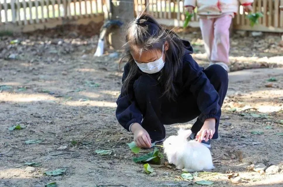 从化天人山水二日游,从化天人山水一日游攻略