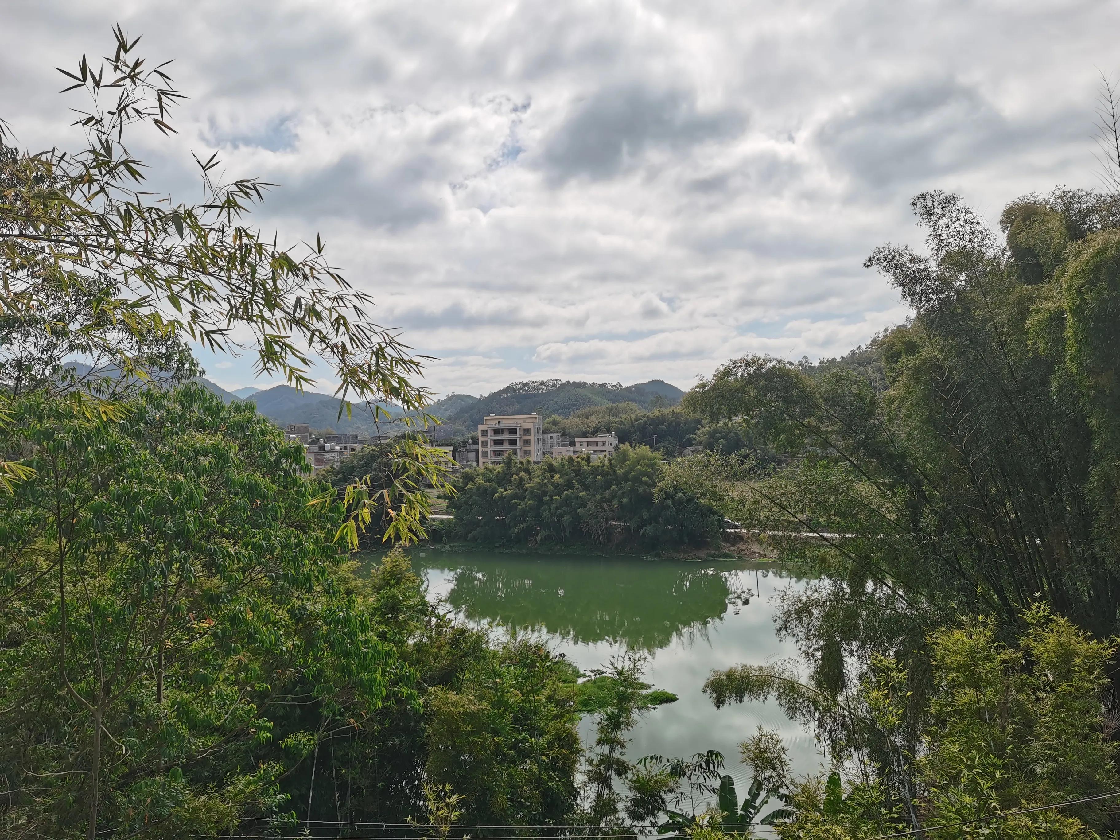 探秘原始森林的真实过程,揭露森林背后的真相