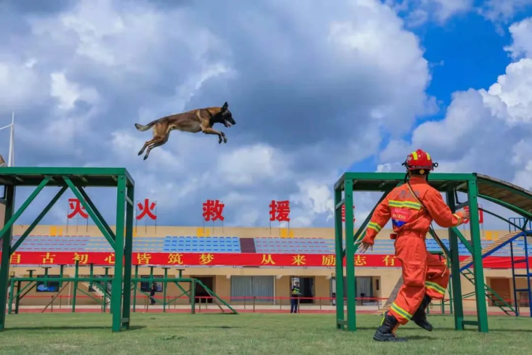 王鹏这个人怎么样,王鹏评价