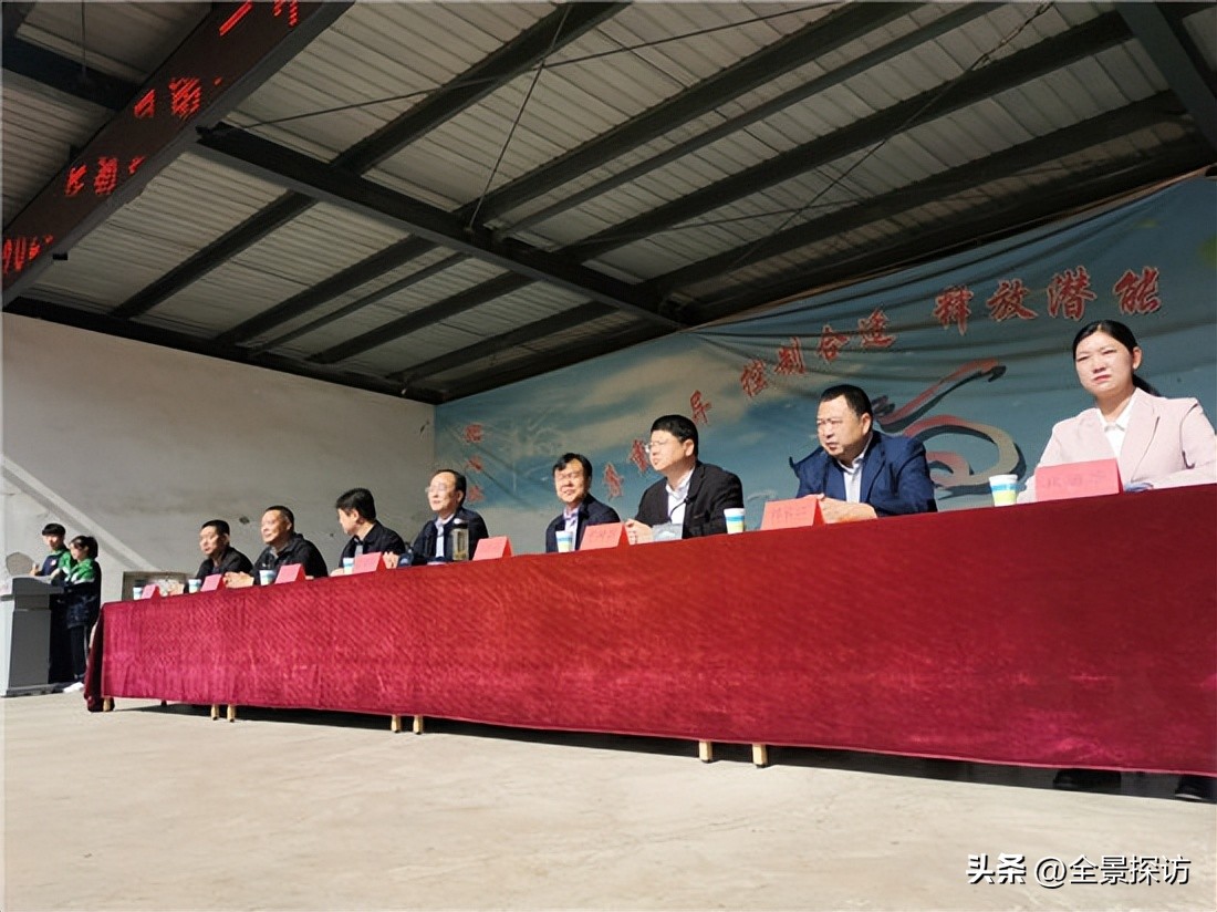 易县中小学田径运动会直播,易县保定运动会