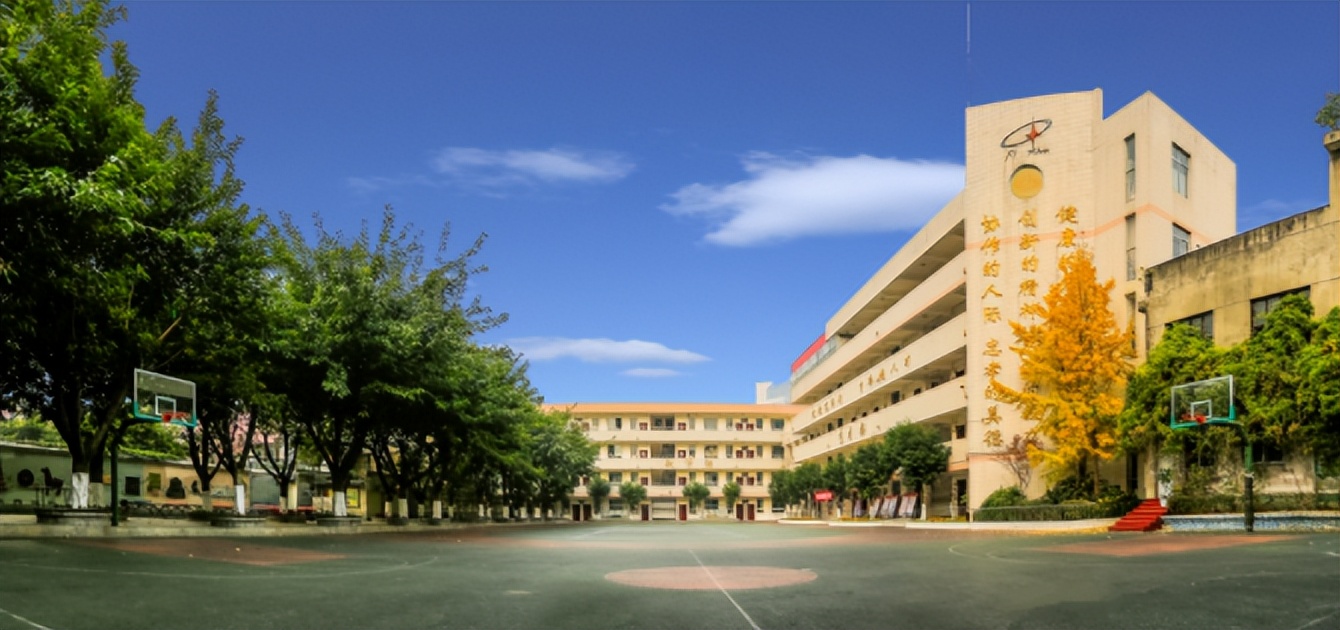 新都最好三所小学,新都哪些小学属于公立