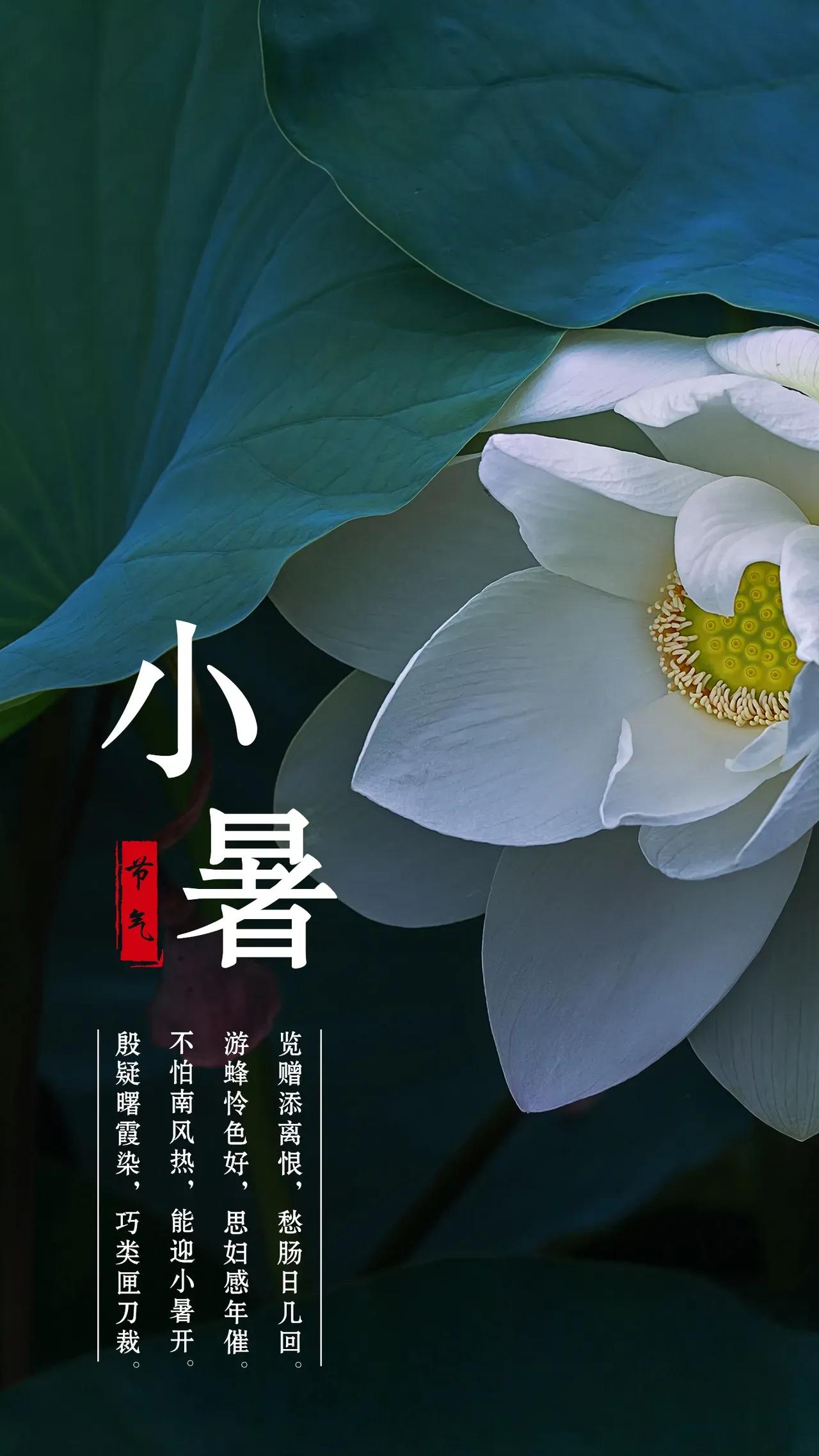 小暑节气快乐高级图片,关于小暑的精美图片