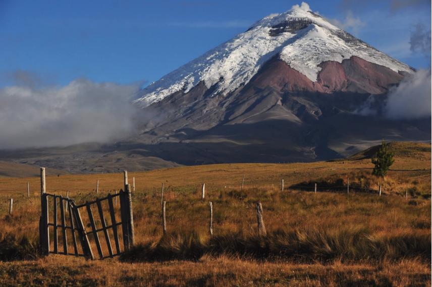 去神秘小岛探险,去神秘岛探险视频