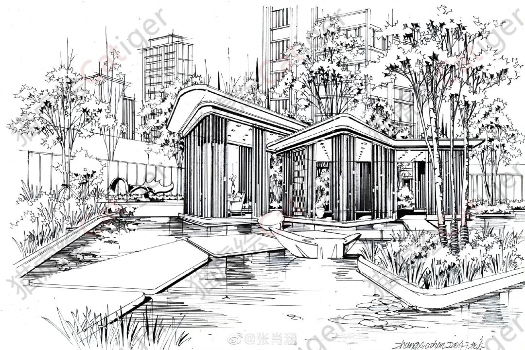 猫虎画,猫虎绘画