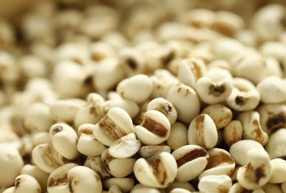 中老年人吃什么食物可以补血,中老年人吃什么食物少生病