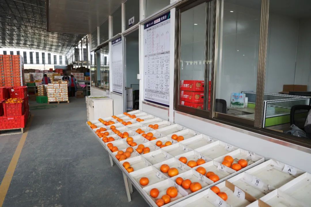 从0.6元到4元，优质优价能否引领农民种好果？