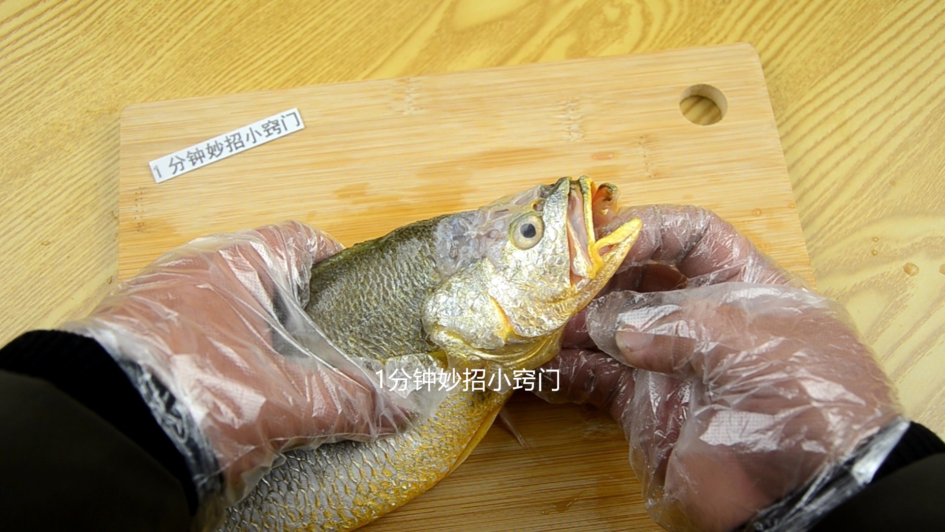 这6种鱼或含有甲醛和重金属,甲醛超标的鱼有哪些