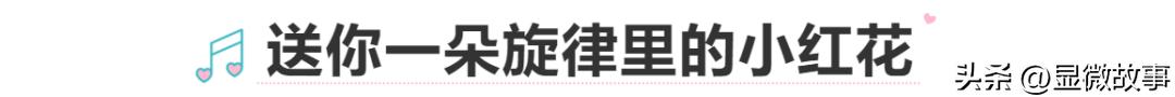 深夜，我找到了藏在评论区里的秘密心事