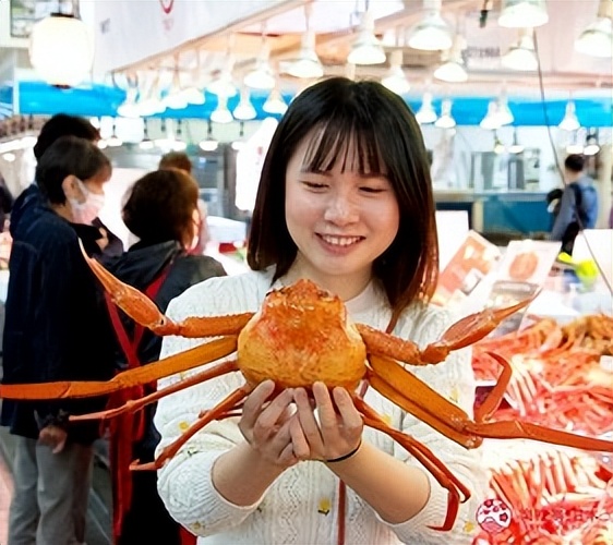 鸟取岛根景点推荐,鸟取沙丘风景区