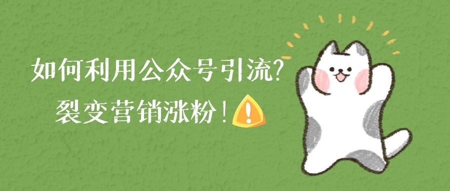 公众号运营新手教程不用编辑器,公众号运营教程零基础视频课