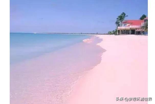 粉色沙滩打卡地,东山岛粉色沙滩