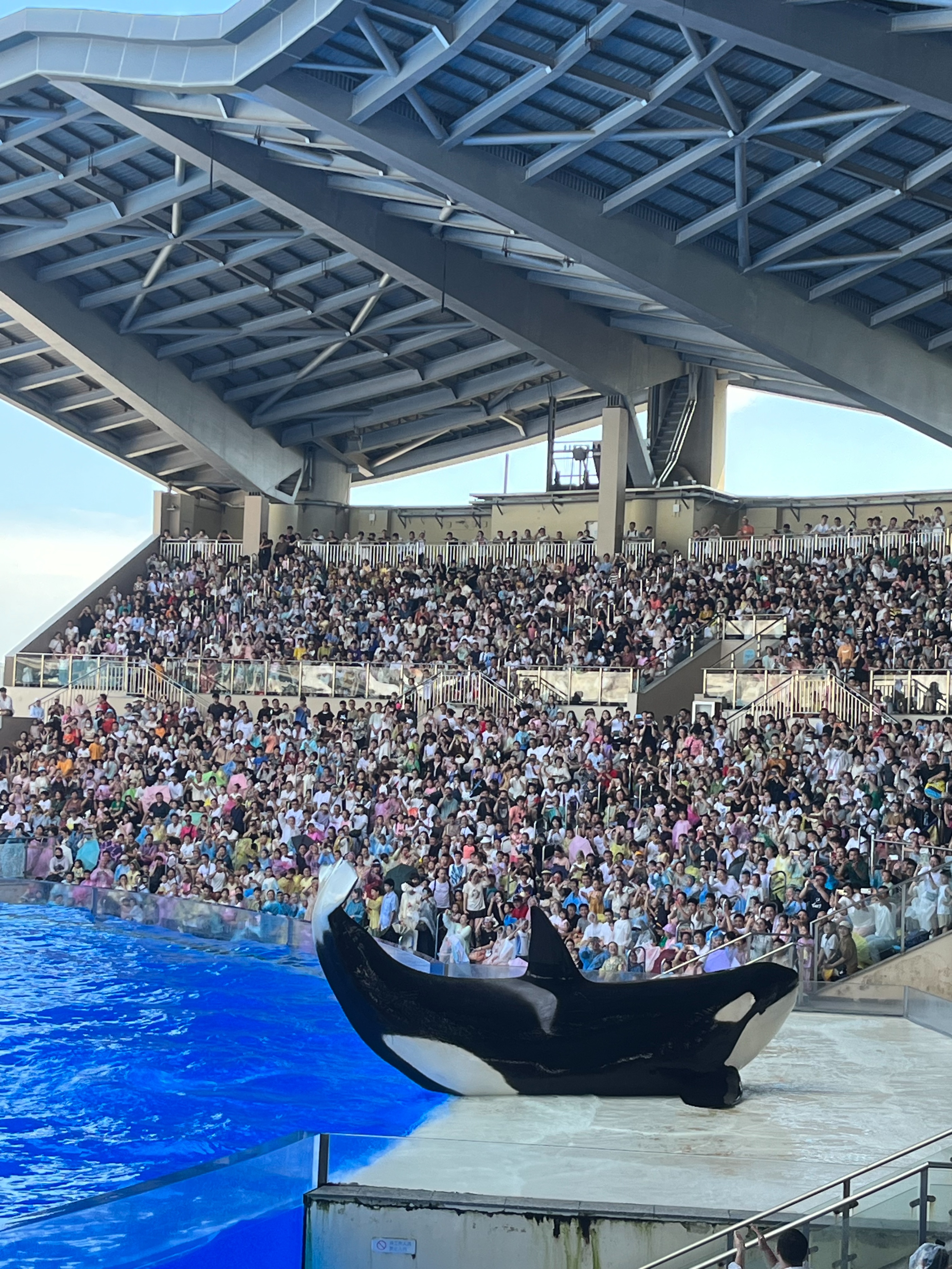 奥特曼主题馆上海海昌游玩攻略,日本奥特曼主题公园旅游