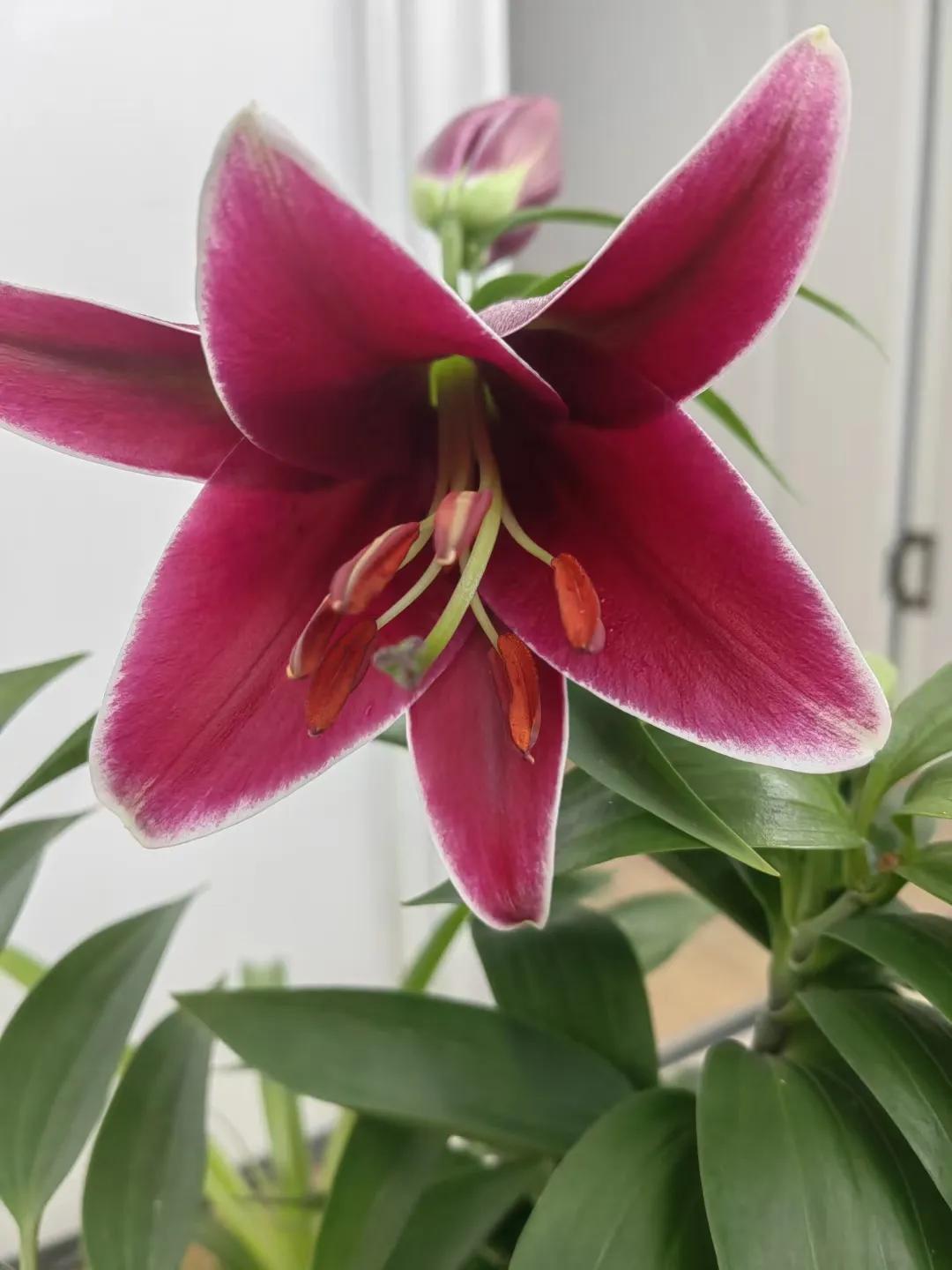 买一手公寓需要缴纳土地增值税,高档住宅不享受物业费减免