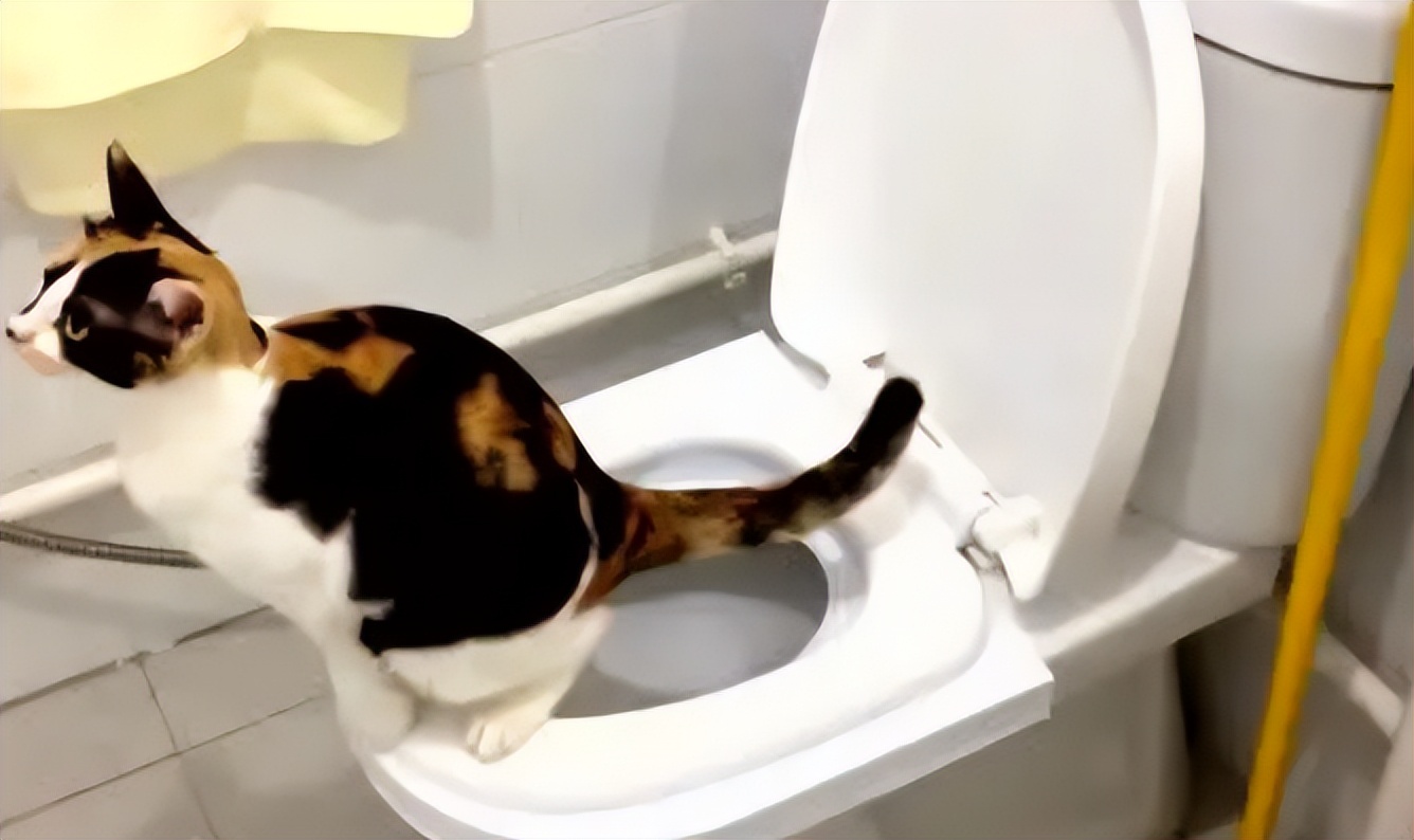 古代士兵行军拉肚子怎么办？用粪便制作一*器武**，令敌人闻风丧胆