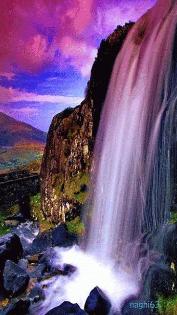 世界最美山水花鸟高清图片,精美山水花鸟图片大全