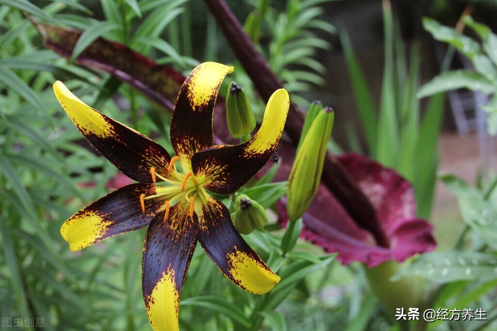 治疗过程中，医生和患者的配合