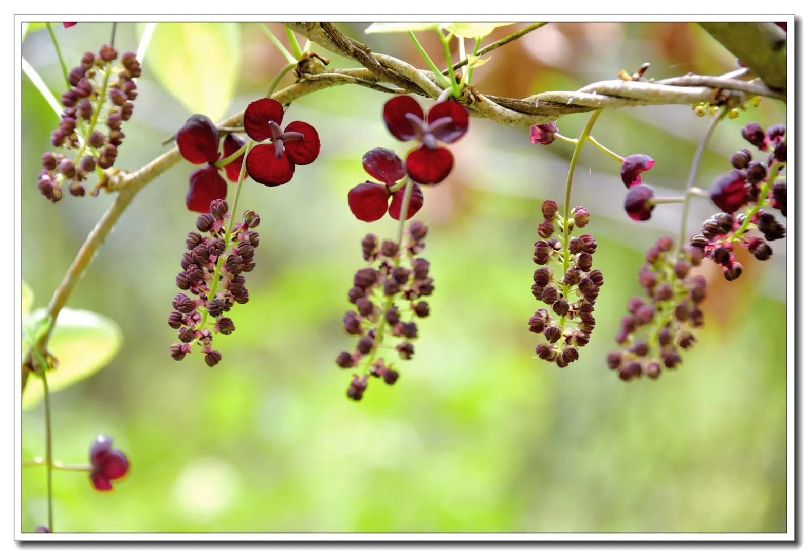 五伦关系的父子包括哪些方面,五伦关系中的父子之伦的含义