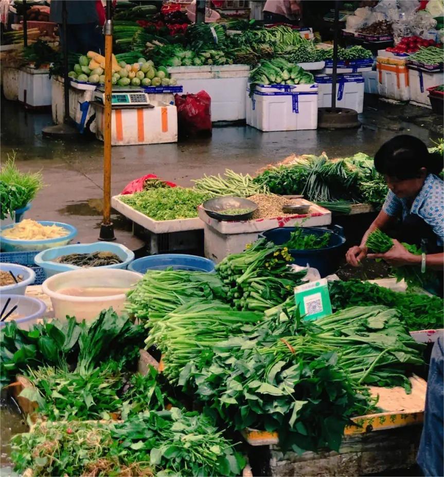 当个农民需要哪些证,当农民需要农民证件吗