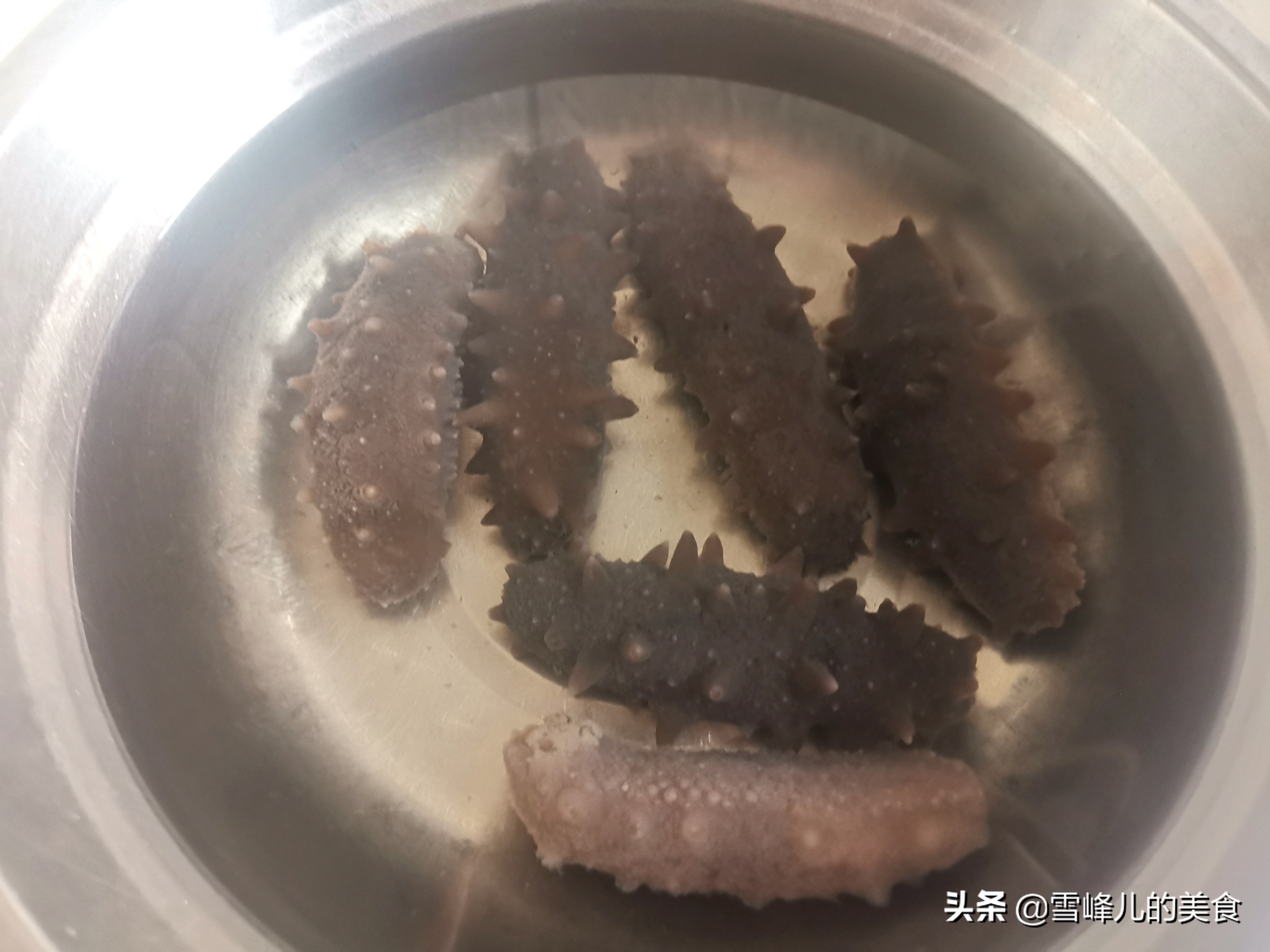 海参泡发的正确方法零基础上手,这才是海参泡发的正确方法