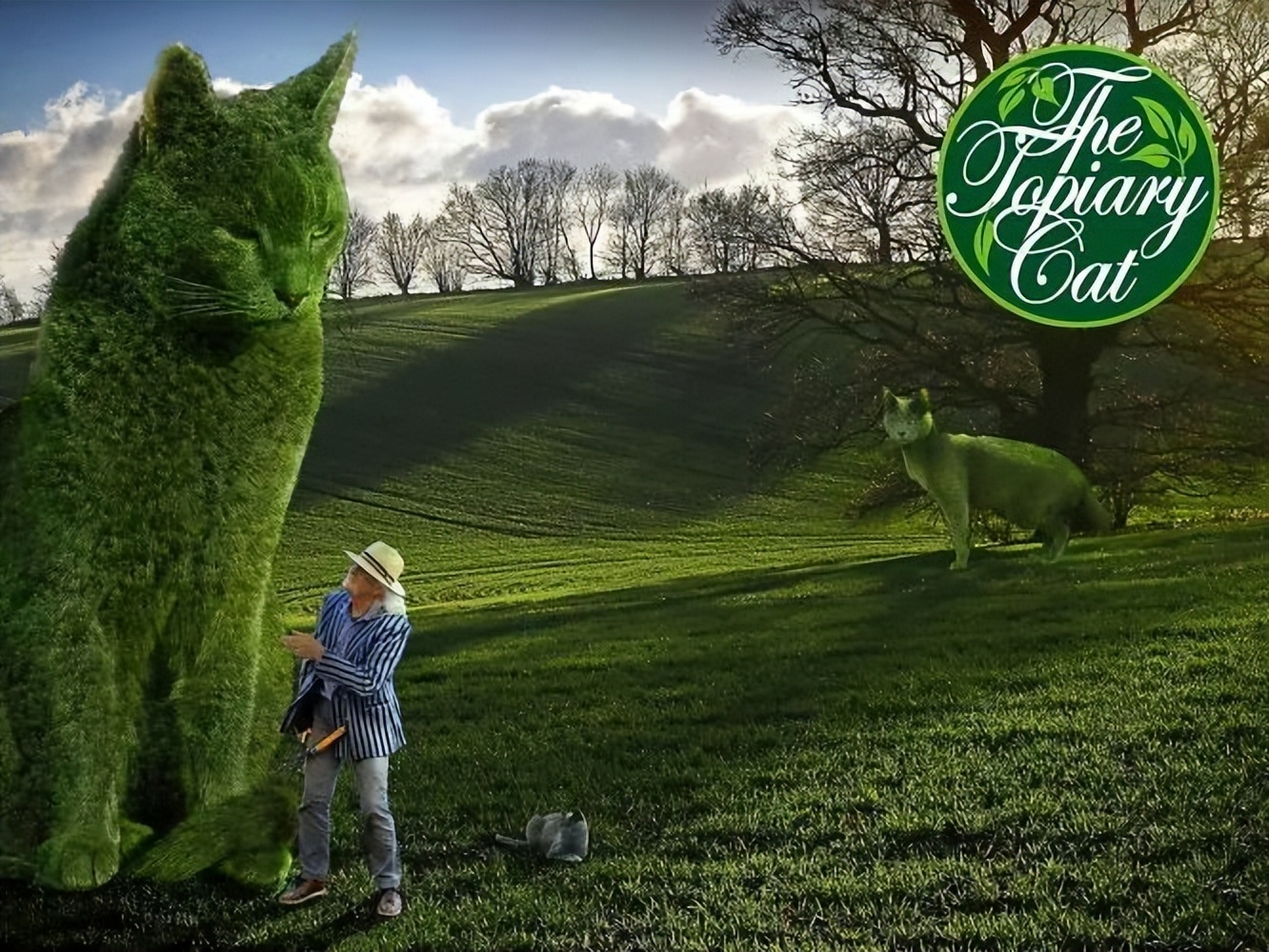 养猫的呼噜声音 (养猫呼噜的声音)