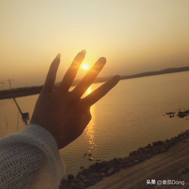 我的病友,一个54岁的东北女人,腱鞘炎肿胀住院做手术