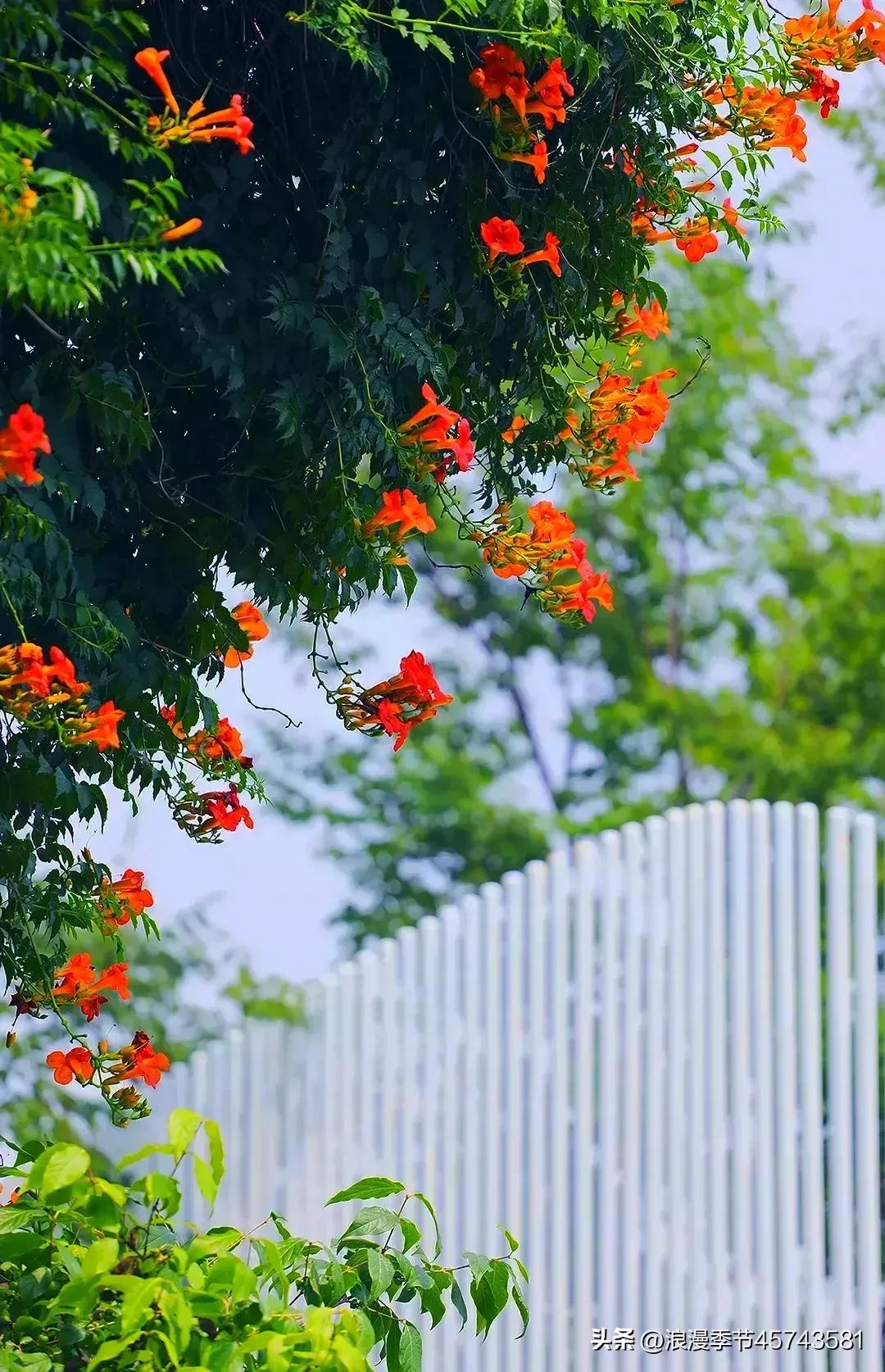 不用打字的七月再见你好八月美文,再见八月你好九月的散文