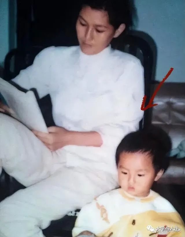 初中学历吴亦凡和大学教授李铁…两人有惊人的相似之处!