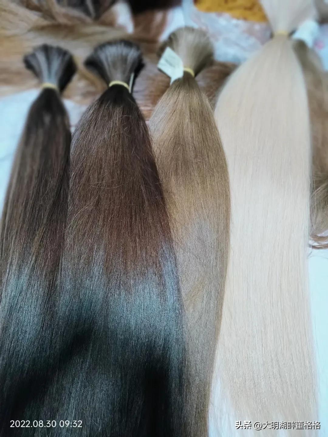 中国看牡丹花的地方有几个,中国牡丹看襄阳