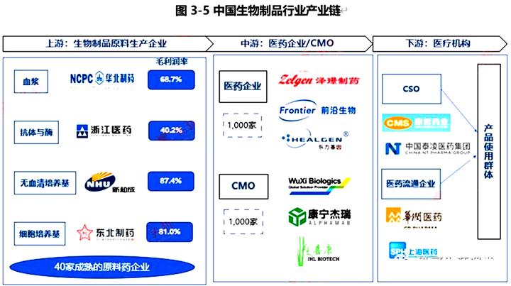 2022年哪个专业就业前景最好,女生本科就业前景最好的十大专业