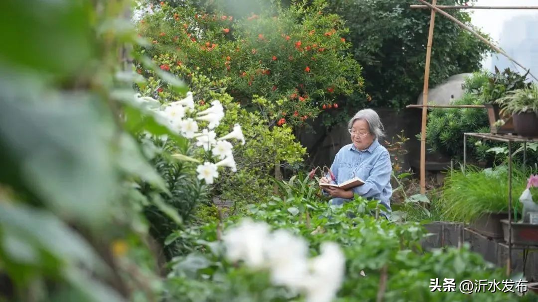 连她都敢请,这档综艺怎么想的