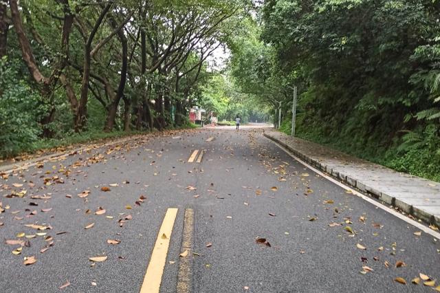 李贺最著名十首诗句,李贺的最经典诗词