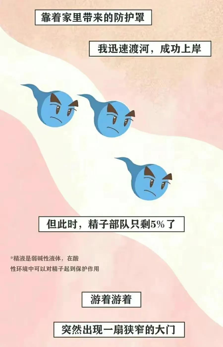 精子进入女生体内的全过程，真是一路坎坷又艰难