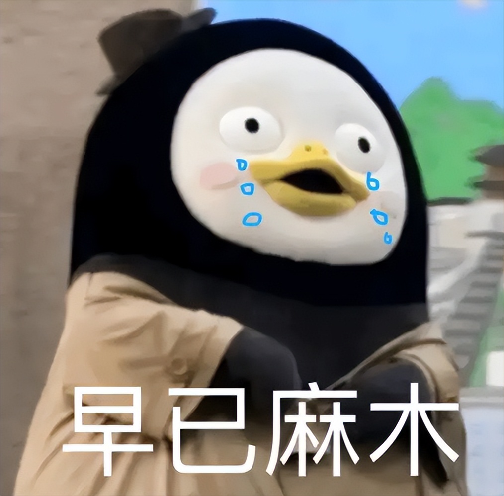 先亲亲后恋爱的韩综 (前一段很火的恋爱韩综)