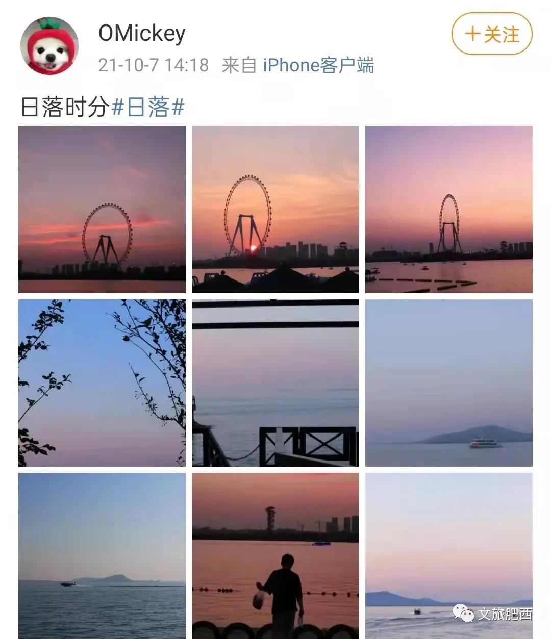 原来，在社交平台中，肥西的真实风景是这样的