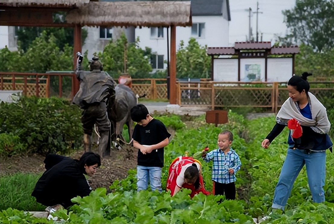 乡村旅游电商发展规划,乡村旅游互联网模式有哪些