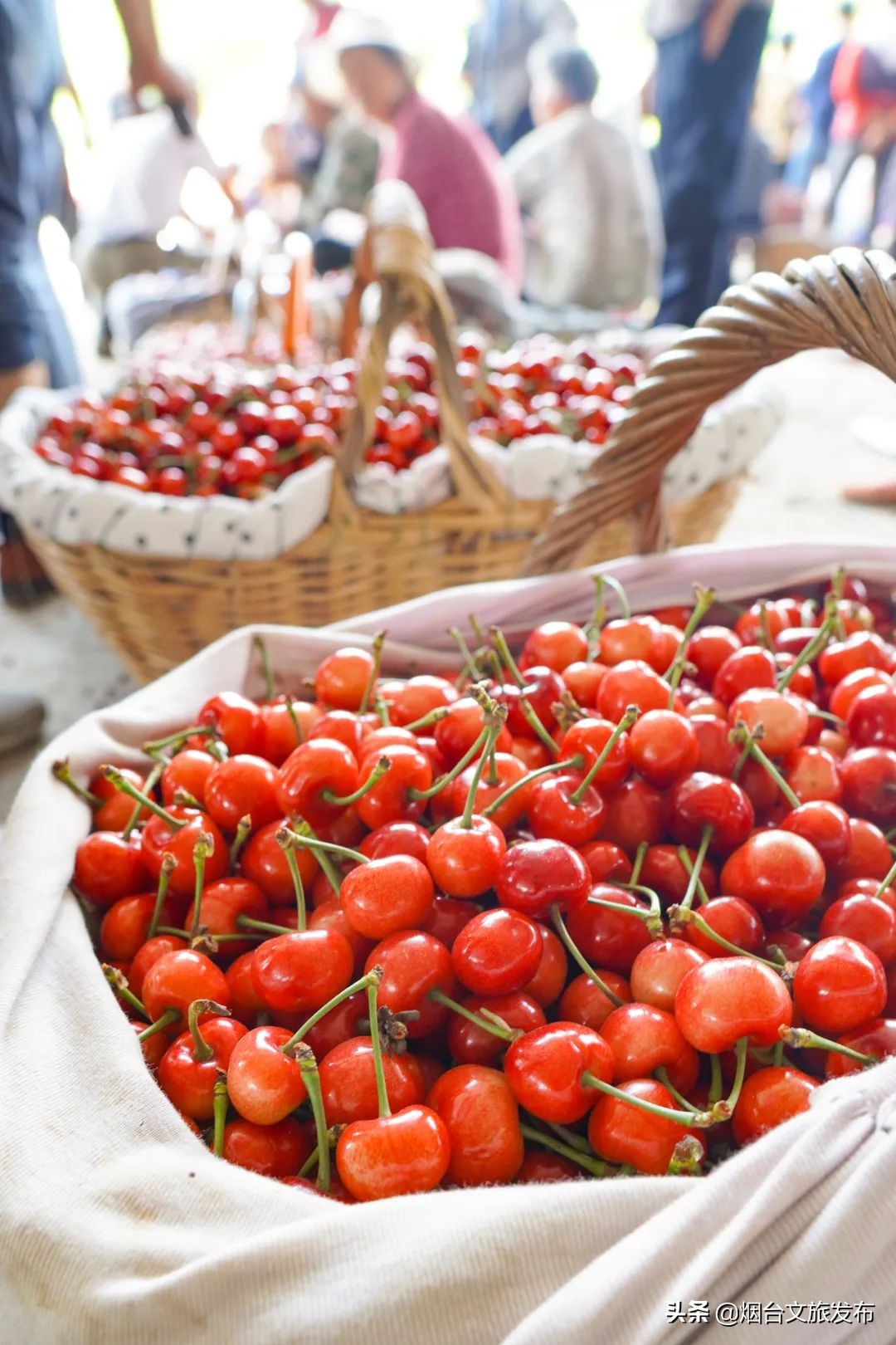 一到夏天，烟台就成了人们心心念念的消暑天堂！