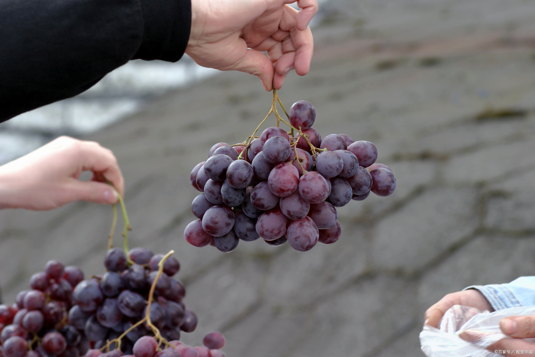 商洛特产小吃介绍,商洛十大特产有花椒吗