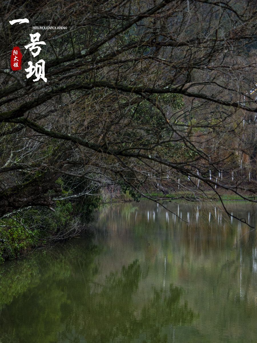 海口世纪公园游玩攻略一日游,昆明海口石城公园路线图