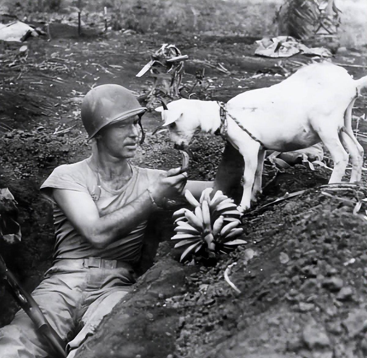 日寇侵入永州*行暴**实录，2000余妇女被奸淫，令人发指，罄竹难书