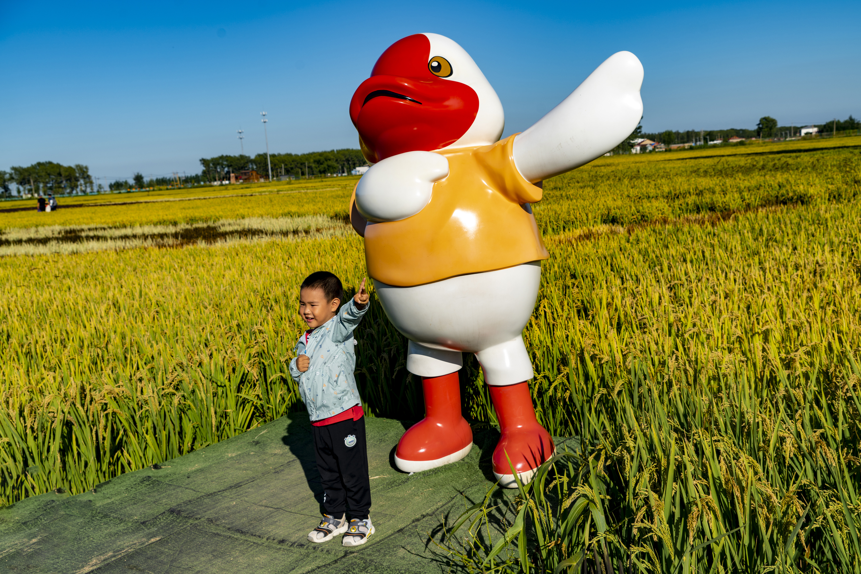 沈阳市稻梦空间,沈阳稻梦空间附近农家院
