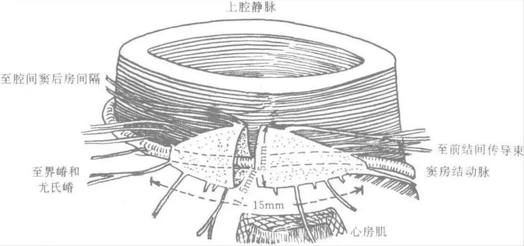 心脏突然咯噔一下是什么感觉,突然心脏咯噔一下是什么原因