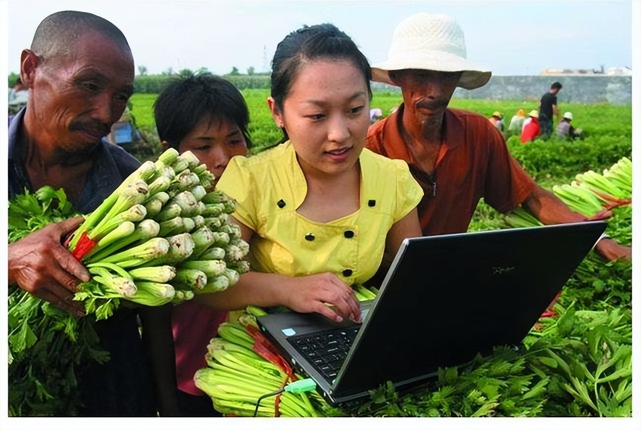 马云说未来农村创业新项目,马云透露农村四大发展商机
