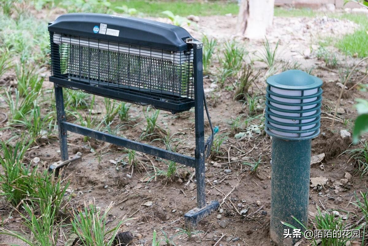 花园蚊子驱蚊用什么方法,夏天花园驱蚊虫最有效的方法
