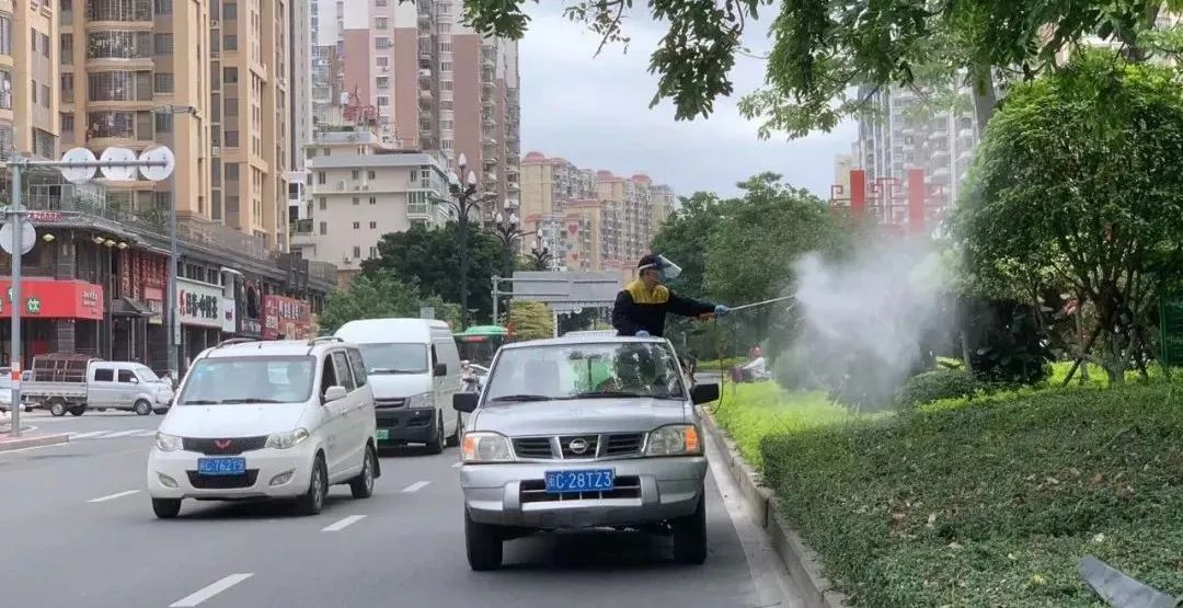 泉州泉港区除四害消杀方案,惠州惠安除四害