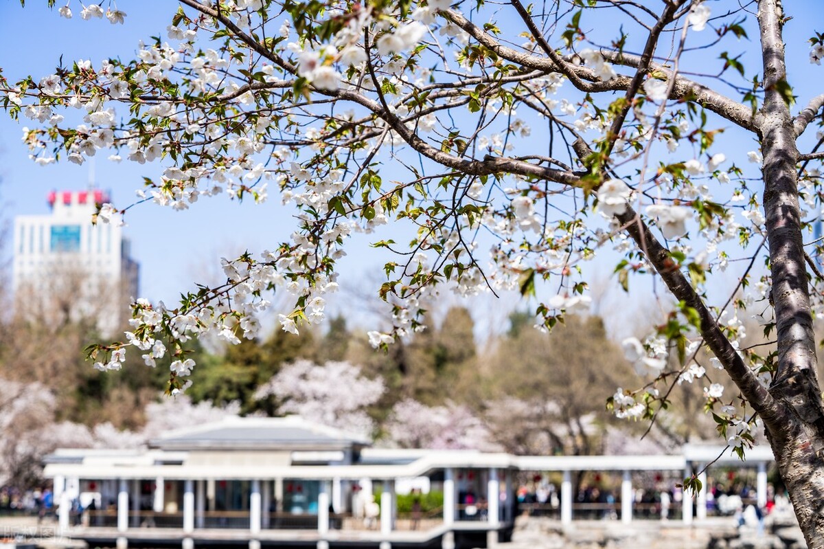 海淀区文旅局官网,文旅海淀第五期