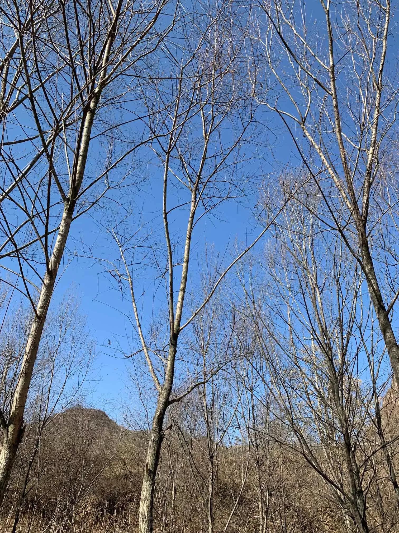 宝鸡的“小江南”——坊塘