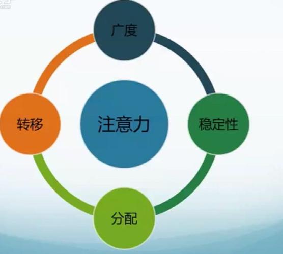 好动专注力差的孩子怎么教,发育迟缓儿童的专注力训练