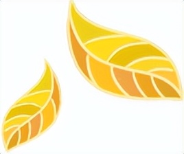 快乐看球世界杯,快乐看球体彩